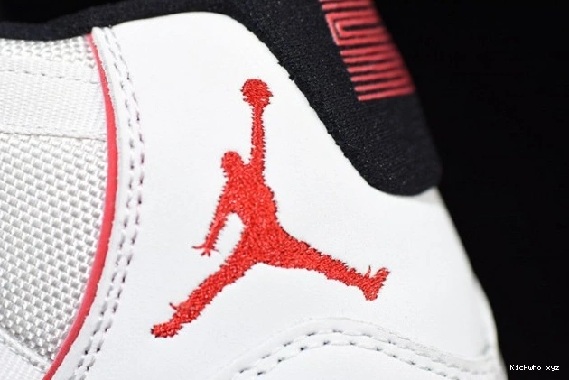 Air Retro Jordan Tint Platinum 378037-016 11 0612